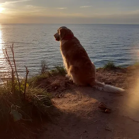 Lesny Klif Debina (Ustka)