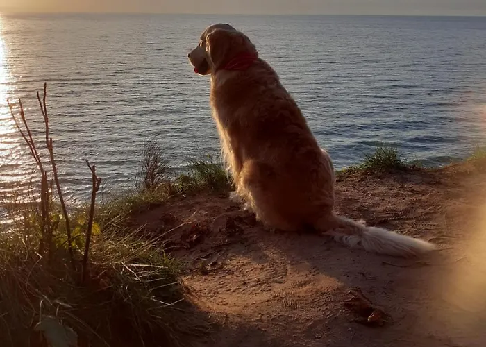 Lesny Klif Debina (Ustka)